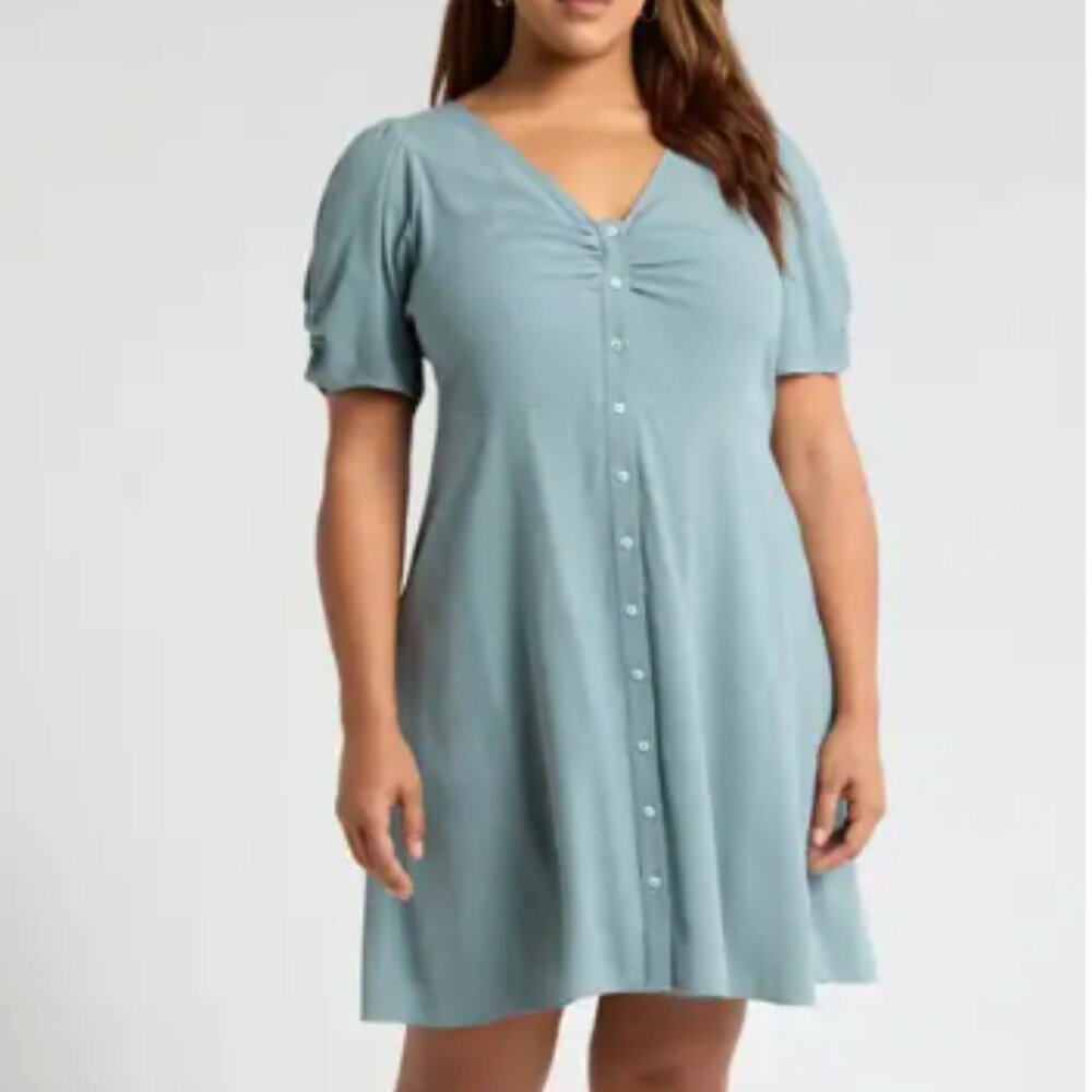 Madewell V-Neck Button Front Mini Dress (Plus)